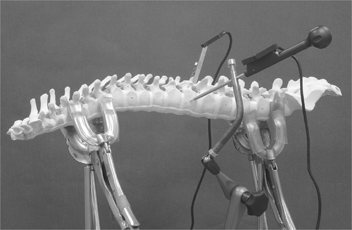 Figure 2. Experimental setup for “reversed verification”. The reference base is placed at the navigated vertebra. The pointer is fixed in a special 3D holding device which allows free movement of the pointer in space. On achieving the correct position of the pointer, the device can be fixed in position with the knob.