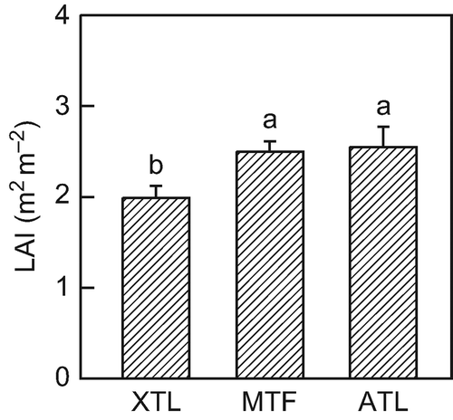 Figure 3 Leaf area index (LAI) of the three Nothofagus pumilio stands. Values are means ± SE; n = 8. Different letters indicate statistically significant differences between the forests (P < 0.05). XTL: xeric treeline, MTL: mid-altitude tall forest, ATL: alpine treeline.