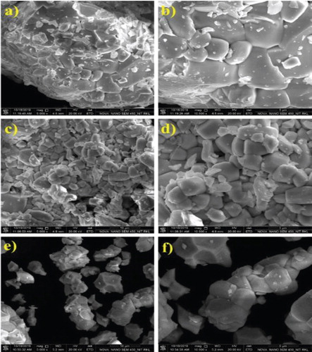 Figure 5. SEM image of the Sm3+-activated Li3BaSrLn3(WO4)8 [Ln = (a and b) La, (c and d) Gd, and (e and f) Y] phosphor.