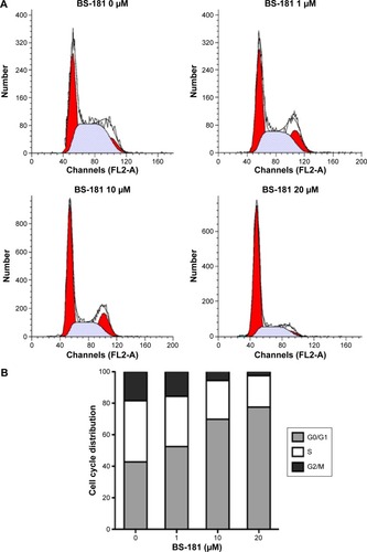 Figure 3 BS-181-impaired cell cycle progression in BGC823 cells.