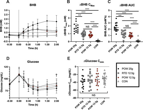 Figure 3. Capillary blood BHB and glucose concentrations in healthy adults (n = 15) following consumption of 25 g or 12.5 g of BH-BD as powder, 12.5 g RTD beverage formulation, or a control drink. A: mean blood BHB concentrations over time, B: peak BHB concentration for each subject normalized to each individual’s baseline value, C: normalized BHB AUC, D: mean glucose concentrations over time, E: minimal normalized glucose concentration for each individual.Abbreviations: AUC, area under the curve; BHB, beta hydroxybutyrate; BH-BD, bis hexanoyl (R)-1,3-butanediol; Cmax, peak concentration; Cmin, minimal concentration. Data are mean ± standard deviation. * = p <0.05 between group, ** = p <0.001, *** = p <0.0001 between group, NS = not significant; † = p <0.05 between control and POW 25 g groups.