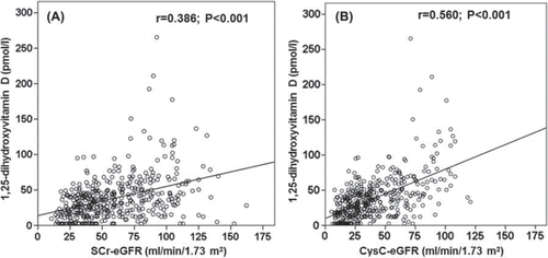 Figure 2. Correlation between circulating 1,25-dihydroxyvitamin D and serum creatinine-based (A) and cystatin C-based (B) estimates of glomerular filtration rate. CysC, cystatin C; SCr, serum creatinine; eGFR, estimated glomerular filtration rate.