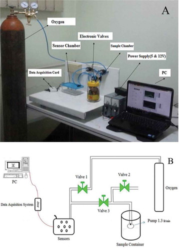 FIGURE 2 (a) Actual and (b) schematic view of designed e-nose system.