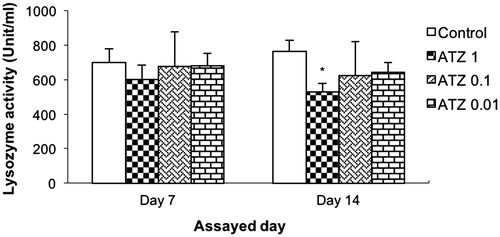Figure 4. Serum lysozyme activity. Turtles were injected once with different concentrations of atrazine and assayed on Day 7 and 14 post- treatment. Bars shown are mean ± SD (n = 6/group). (L-R: Control, ATZ 1.0, ATZ 0.1, ATZ 0.01). *Value significant from control (p < 0.05).