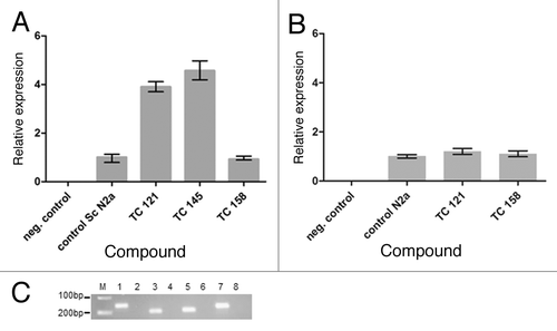 Figure 5. (A) Relative expression of the PRNP gene in untreated “control Sc N2a” cells and cells treated with different 5,7,8,-trimethyl-1,4-benzoxazine derivatives. (B) Relative expression of the PRNP gene in untreated “control N2a” cells and cells treated with TC121 and TC158. As expected, there is no signal in negative control samples without cDNA. (C) 2% agarose gel showing representatively the amplified fragments of the tested genes. M: relative molecular mass markers, 1, 3, 5, 7: PCR products amplified with the β-actin, PrP, RPL32 and GAPDH primers in the presence of cDNA and 2, 4, 6, 8: in the absence of cDNA.