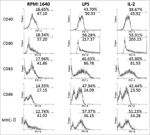 Figure 1. Detailed changes of surface markers on the BMDCs after treatment with IL-2.