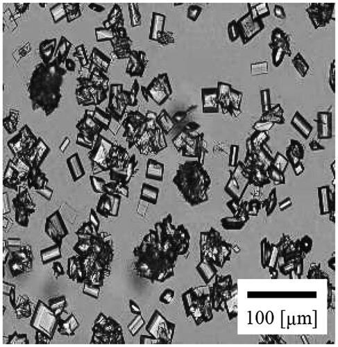 Figure 8. An optical microphotograph of the CS-023 crystals recovered after 18 h-poor solvent crystallization under stirring.