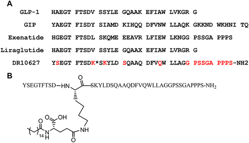 Figure 1 Amino acid sequence of GLP-1R/GIPR coagonist, DR10627 and the related peptides GLP-1, GIP, exenatide and liraglutide. Differences in amino acids from native GLP-1 and GIP are denoted in red. K* indicates a palmitoyl group conjugated to the ε-N of K10 via a -γ-glutamyl-linker (γE-C16) (A). Structure schematic of DR10627 (B).