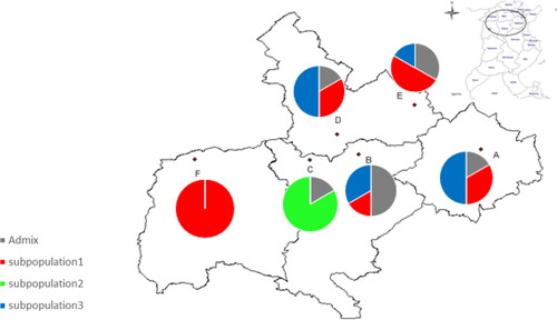 Figure 4. Genetic composition of Tunisian H. triquetrifolium populations at each of the 6 sampling locations. A: Zaghouan, B: El Aroussa, C: Le Krib, D: Tastour, E: Mjez El Bab, F: Touiref. Six individuals were genotyped at each location and individuals were colour-coded by genetic subpopulations as defined by STRUCTURE at K = 3.