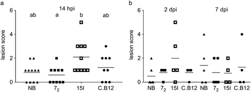 Figure 1. Colibacillosis lesion scores. Inbred lines 72, 15I and C.B12 and the outbred Novogen Brown chickens were inoculated with (a) the high or (b) the low dose of APEC O1. Colibacillosis lesions were recorded at different time points. Each dot represents the total lesion score of an individual bird with a maximum score of 16. Four to six birds of each line were sampled at each time point after low dose challenge. Nine to eleven birds of each line were sampled after high dose challenge as, unexpectedly, several of the relatively susceptible birds succumbed to the infection and as a consequence all high dose birds were culled at 14 hpi (not at 2 and 7 dpi as planned). Bird numbers vary due to the availability of birds for this study. NB = Novogen Brown, inbred lines as indicated. The mean is shown. Groups with different letters are significantly different (P < 0.05).