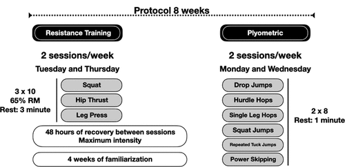 Figure 2. Organization of the strength training protocol.