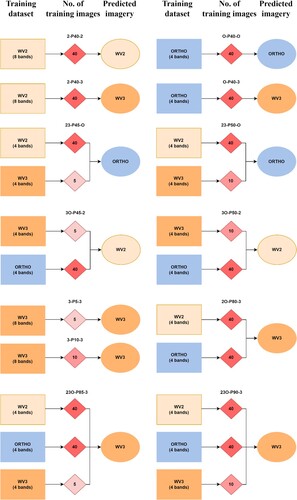 Figure 2. The modeling workflow with the abbreviated names of the models. First and last tags of the labels: 2 = WorldView-2; 3 = WorldView-3; O = Orthophoto. Second tag = Number of training image used for the prediction (before augmentation).