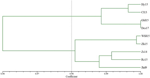 Figure 2. Phylogenetic dendrogram based on Nei’s genetic identity of nine Glehnia littoralis populations.