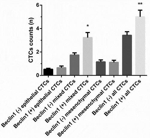 Figure 6. The expression of Beclin1 in different types of CTCs preoperatively. (Data were presented as mean ± SD and P < 0.05 was considered statistically significant. * P < 0.05 Beclin1 (+) mixed CTCs vs. Beclin1 (-) mixed CTCs; ** Beclin1 (+) all CTCs vs. Beclin1 (-) all CTCs).