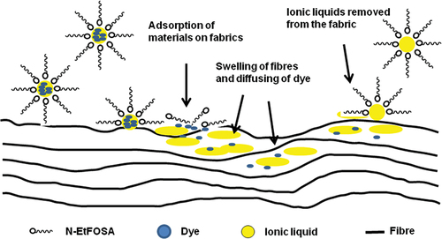 Figure 3. Schematic representation of dyeing process of linen fabrics in supercritical CO2 reverse micelle system.