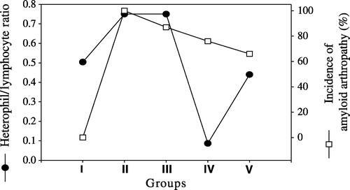 Figure 7. H/L ratio (•) and amyloid arthropathy occurrence rates (□) in joints in five groups. I, negative control group; II, vitamin A group; III, positive control group; IV, pentoxyflline group; V, methylprednisolone group.