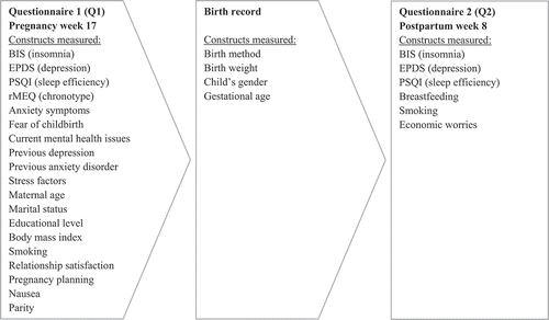 Figure 1. The Depression and Anxiety in the Perinatal Period (DAPP) study: overview of the study procedure
