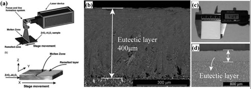 Figure 1. Nanoeutectic layer fabrication via laser rapid solidification process on the surface of Al2O3–ZrO2 ceramic [Citation29]: (a) laser quasi-continuous line and experimental setup, (b) the colonies formed by laser surface melting, (c) surface morphology, (d) cross-section of the formed layer. Reproduced with permission from Ref. [Citation29], © Elsevier Ltd. 2010.