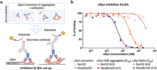 Figure 5. Inhibition ELISA illustrating the binding strength of SynO2 and HexaSynO2 to αSyn monomers, HNE aggregates and αSyn fibrils.