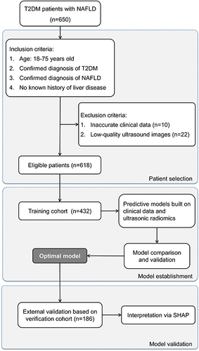 Figure 2 Flowchart of Patient Selection and Cohort Distribution for Developing and Validating Predictive Models in T2DM Patients with NAFLD.
