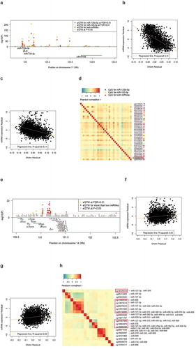 Figure 3. Examples of top cis-miR-eQTMs for miRNAs.(a) Regional association plot of cis-miR-eQTMs and miRNAs (miR-100-5p, miR-125b-5p); (b) Scatter plot of DNAm values of the top CpG, cg06000878 with miR-100-5p; (c) Scatter plot of cg06000878 with miR-125b-5p; (d) Heatmap of Spearman correlation matrix of cis-miR-eQTMs for miR-100-5p and/or miR-125b-5p; (e) Regional association plot of cis-miR-eQTMs and miRNAs (miR-127-3p, miR-370, miR-668, miR-543, miR-654-5p, miR-411-3p, miR-409-3p, miR-382-5p, and miR-376a-3p); (f) Scatter plot of DNAm values of the top CpG, cg18089426 with miR-370; (g) Scatter plot of DNAm values of the top CpG, cg18089426 with miR-127-3p; (h) Heatmap of Spearman correlation matrix of cis-miR-eQTMs for miR-127-3p, miR-370, miR-668, miR-543, miR-654-5p, miR-411-3p, miR-409-3p, miR-382-5p, and miR-376a-3p. Highlighted red rectangle in (d) shows putatively causal CpGs for HDL cholesterol. Highlighted red rectangle in (e) shows putatively causal CpGs for age at menarche. The x-axis and y-axis in (b), (c), (g) and (h) are DNAm and miRNA expression residuals after adjusting for covariates (see Methods).