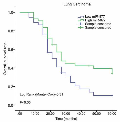 Figure 2. miR-877 expression is related to prognosis of LC patients. miR-877, microRNA-877; LC, lung cancer