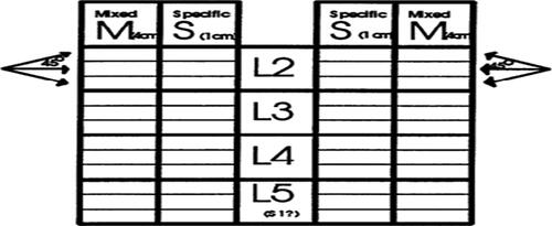 Figure 1. The Score sheet: spontaneous activity is scored separately for the first 4 cm insertion (placed in the Score sheet M column) and in the last lcm insertion (placed in the Score sheet S column).Citation25 In this study, L1and S1nerve roots were added to the Score sheet, PM score was the summary of all plus at one level nerve root, one side.