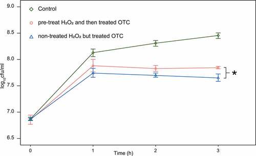 Figure5 Strain survival from 50 mg/L OTC, after pre-treated H2O2 for 30 min and compared with non-pre-treated strain (one asterisk for p < 0.05). control group grown in LB medium without H2O2 and OTC. Curves represent the mean of five independent cultures per time point