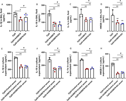 Figure 7 Blockage of P2X7 with A438079 decreased (A and E) IL-1β, (B and F) IL-18, (C and G) IL-1α, and (D and H) HMGB-1 level in BAL fluid or culture supernatant, while combination use with EA failed to further reduce the amounts of all the above 4 cytokines. **P < 0.01 and *P < 0.05 compared to the CpG group. #no significance (n=3). Data are analyzed using one-way ANOVA followed by Bonferroni post-hoc analyses.