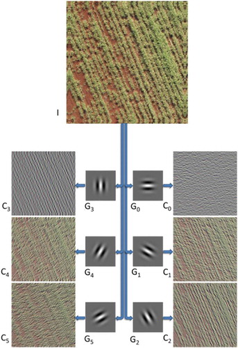Figure 2.: Image decomposition with a filter bank composed of six Gabor Kernels.