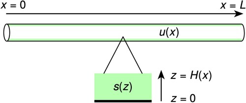 Figure 1. Model cartoon. The unified model consists of two linked one dimensional models. The first, illustrated at the top of the figure, is a biofilm-lined tube extending in the x-dimensions, models the concentration of urea in the fluid flowing axially through tube reactor (the biofilm is represented in green). The second, represented by the expanded view at the bottom of the figure, models the concentration of urea in the wall-mounted biofilm in the radial direction, which is perpendicular to the flow. This is the z-dimension.