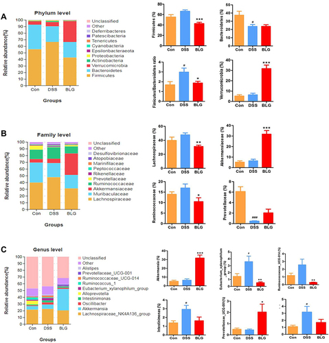 Figure 4 BLG altered gut microbiota abundance of DSS-induced colitis mice. (A) the abundance of gut microbiota at the phylum level; (B) the abundance of gut microbiota at the family level; (C) the abundance of gut microbiota at the genus level. Data are expressed as the mean ± SEM (n = 6). #p < 0.05 or ###p < 0.001 vs control (Con) group; *p < 0.05 or **p < 0.01 or ***p < 0.001 vs DSS group.