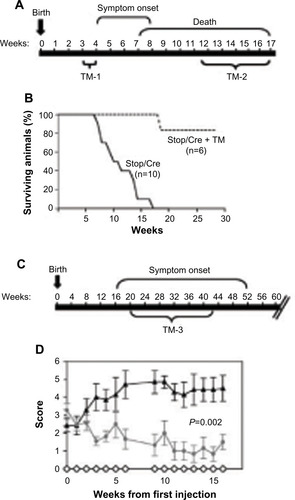 Figure 2 Global restoration of MeCP2 reverses deficits associated with RTT.