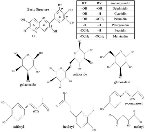 Figure 2. Chemical structures of CLM anthocyanins.Figura 2. Estructuras químicas de las antocianinas CLM.