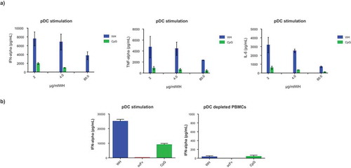 Figure 4. WH-mediated stimulation of cytokine release by pDC.Cytokine levels produced by human pDCs and/or pDC depleted-PBMCs after stimulation with WH, scFv or CpG. Samples were incubated with pDCs of three different donors for 15 minutes at room temperature with the removal of not-bound material (a) or overnight without any washing step (b). The columns represent the mean of replicates with a SD calculated from Graphpad 6.0 software. Donors of the two experiments (a and b) are different and the free CpG was used at molar concentrations comparable to those in the WH preparations. In panel b, the scale of the y-axis is different showing the background secretion of IFNa by pDC depleted PBMCs.