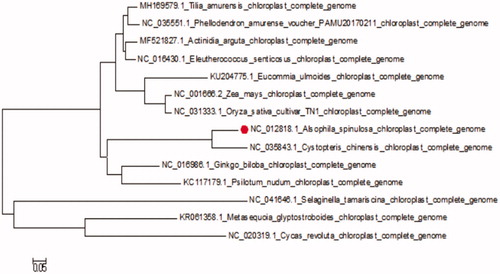 Figure 1. The phylogenetic tree based on 14 complete plastid genome sequences.