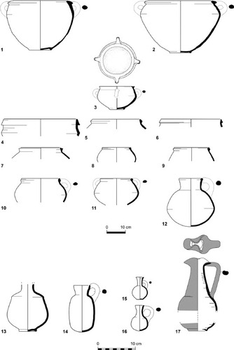 Fig. 16: Main ceramic types of Stratum 11 (continued): 1-3) kraters; 4-11) cooking pots; 12) cooking jug;13) decanter;14-16) juglets;17) jug (for parallels,see Fig. S9 in Supplementary Material 3)