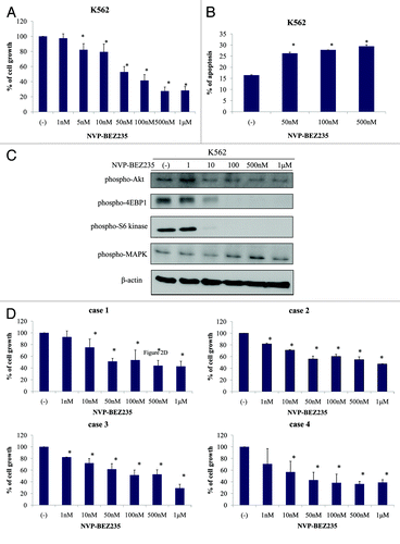 Figure 2. NVP-BEZ235 inhibits cell growth and induces apoptosis in Ph-positive cells. (A) Cells were cultured at a concentration of 8 × 104/mL in the presence or absence of NVP-BEZ235 for 48 h. Viable cells were evaluated as described in Materials and Methods. (B) K562 cells were treated with NVP-BEZ235 at the indicated concentration for 48 h. The percentage of apoptotic cells was examined as described in Materials and Methods. (C) K562 cells were treated with NVP-BEZ235 for 24 h; total extracts were analyzed by immunoblot analysis with anti-phospho Akt, 4E-BP1, S6 kinase, MAPK, and anti-actin antibodies. The data presented here are representative of 3 separate experiments. (D) Ph-positive primary cells were cultured at a concentration of 2 × 105/mL in the presence or absence of NVP-BEZ235 for 48 h. Viable cells were evaluated as indicated in Materials and Methods.