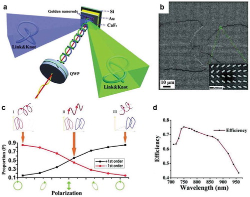 Figure 9. A metal metasurface to generate ultrasmall vortex knot and link [Citation87]. (a) Schematic of construction principle. (b) SEM image of Hopf link metasurface. (c) Result (Hopf link) with the incident light changing from the left circular polarization to right circular polarization. (d) Experimentally obtained optical efficiencies of a trefoil knot. Figures reproduced from ref [Citation87]., copyright 2019, WILEY-VCH