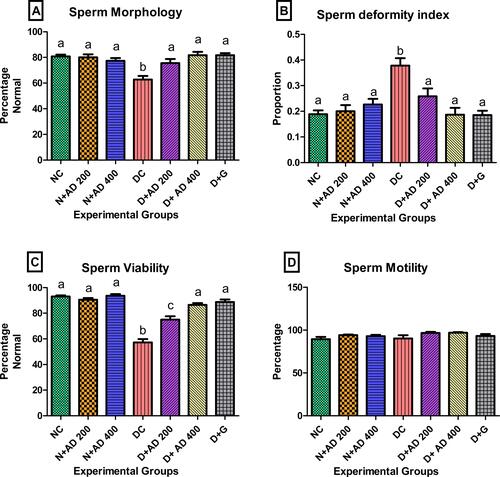 Figure 6 Effect of AD administration on the sperm function indices (A) sperm morphology, (B) sperm deformity index, (C) sperm viability and (D) sperm motility. Bars are indicative of mean values ± SEM of group values. Bars with different letters are significantly (p<0.05) different from each other.