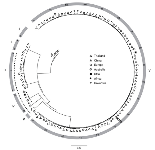 Figure 2 Phylogenetic ANI-based analysis of S. argenteus whole-genome sequences.