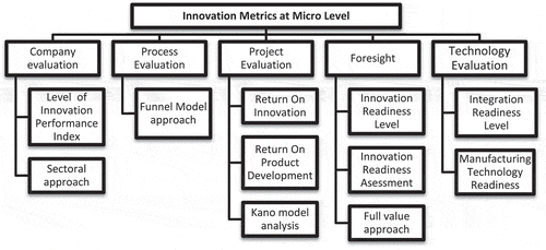 Figure 3. Classification of Innovation Metrics at the microlevel.