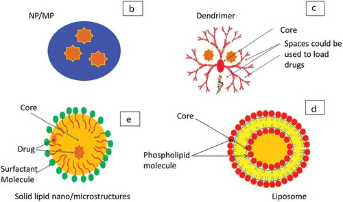 Figure 4B. Different types of macromolecule carriers. B: NP/MP, C: dendrimers, D: liposomes, E: solid lipid structures.