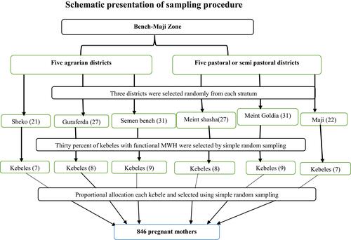 Figure 1 Schematic presentation of sampling procedure in assessment of predictors’ intention to use maternity waiting home in Bench Maji Zone, South West Ethiopia, 2018.