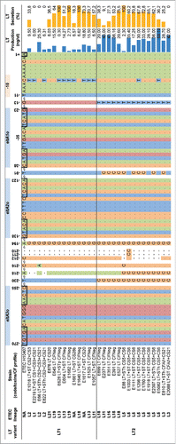 Figure 3. Promoter region of LT1 and LT2 including the regulatory elements, production level and secretion of LT. Alignment of 270 bp nucleotide sequence upstream from the start codon of eltA gene using the program MEGA6.0. The nucleotides are numbered above the sequence. The 3 CRP binding sites (eltAo1-3) proposed by Bodero & MunsonCitation20 were identified (blue boxes) along the sequence of eltAp. CRP binding sites are indicated by rectangles. The -35 and -10 hexamers are also labeled above the nucleotide sequence. The blue bars illustrate the amount of LT produced while the yellow bars represent the secretion rate (LT1: 50.29% and LT2: 50.91%). The black dashed vertical lines indicate the average of the production of LT per LT variant (LT1: 6.53 ng/ml and LT2: 30.77 ng/ml). The statistical analysis was performed by the Mann-Whitney test using Prism version 6.0 (GraphPad Software, La Jolla Califoria USA).