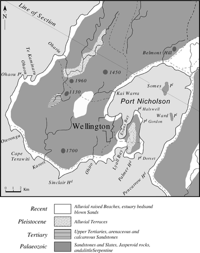 Figure 3  First geological map of the Wellington Peninsula (reproduced from Crawford 1864a; Geological Sketch Map of the Province of Wellington). Dashed lines = roads; hill heights in feet. Geology along the Line of Section is shown in Fig. 5. Scale and North direction are inserted.