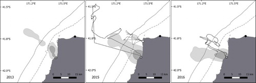 Figure 5. Inter-annual variability of Buller little penguin foraging areas between 2013, 2015 and 2016. The light grey area represents the home range (95% UD), the dark grey the focal area (50% UD). Study colonies are shown by the circles: grey for Nile River, white for Cape Foulwind. Tracks not included in kernel calculation due to small samples sizes are shown: in 2015, incubation track from Nile River (dotted line) and chick-rearing stage track from Cape Foulwind (black line), and in 2016 an incubation track from Nile River (dotted line). The black circle shows the Buller River mouth. The dashed line is 50 m bathymetric contour; the solid line is 100 m.