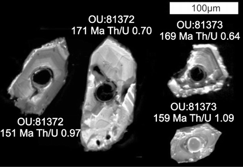 Figure 2 Cathodoluminescence of four representative zircons with a Jurassic age from the Rees Valley samples OU:81372 and OU:81373 (University of Otago JEOL JXA-8600 Superprobe). The U–Pb dates and Th/U ratio were obtained from spot analysis in the core of the zircons.