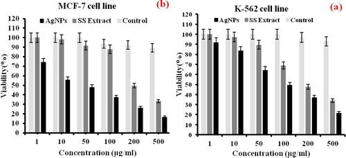 Figure 10. MTT assay for confirming the cytotoxic effect of Summer Savory extract and Green Synthesized Ag NPs to the K-562 and MCF-7 cancer cells for 48 h. (a) Cytotoxic effects on K-562, (b) Cytotoxic effects on MCF. Data are statistically meaningful at the p < 0.05 level.