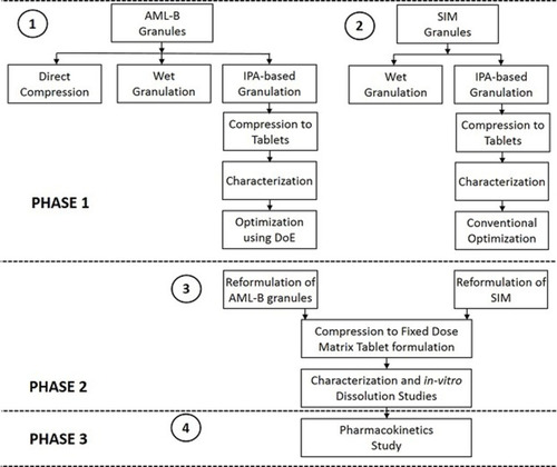 Figure 1 Schematics for study design.